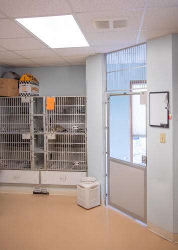 Cat room at Allgood Animal Hospital in Burlington, IA.