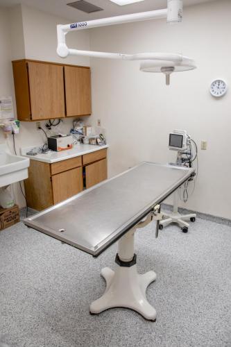 Surgery Room at Allgood Animal Hospital in Burlington, IA.